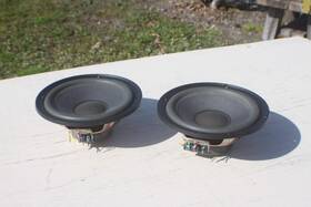 1818701 Bose - 301 Series Iv Woofer Speakers 2 Nice Used