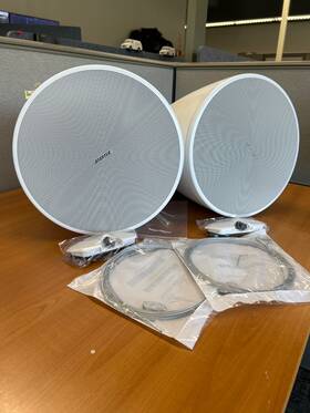 841168-0110 Bose Dm6pe Designmax - Pendant Mount Speaker 2 Ct