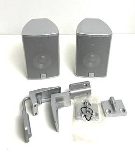 Canton Cd10 Cd 10 Compact Satellite Speakers Set Lot Of 2 Silver Home Theater