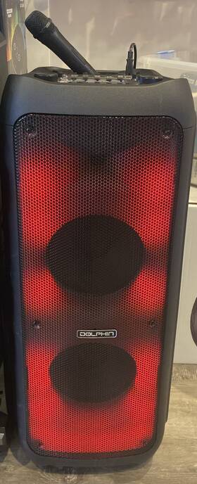 Sp-1070rbt Dolphin - Dual 10 Inch High Power Portable Speaker With Sound Activated Led Lights