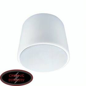 Pesv-8w Episode Beale Street 8 Inch Pendant Speaker White Brand New