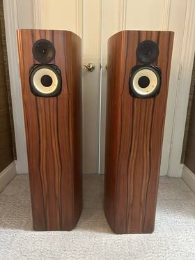 Pm65 Horning Hybrid Aristotle Ellipse Speakers - Rare