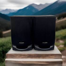 Fb340 Phillips Magnavox Fb340/37 Speakers Only Great Sound Tested And Work See Video Fb340 Phillips Magnavox Fb340/37 Speakers Only Great Sound Tested And Work See Video