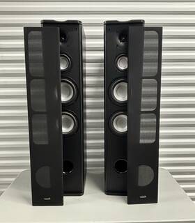 Pa-6f Premier Acoustic Floor Standing Speakers Model Pristine Condition