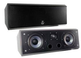 Psc5 Pyle Dual 2-way 5ftft 300 Watt Center Channel Speaker