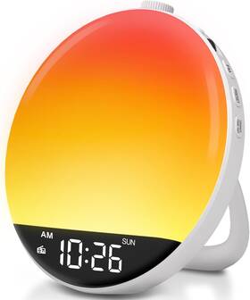 Shenzhen Litian Technology Co. Ltd 313115691606 Dreamsky Digital Fm Radio With Bluetooth Speaker Hi-fi Clear Loud Sound Wake