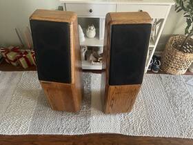 Lm-210 Speakers Conrad Johnson Synthesis