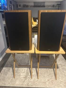 Rs5000 Speakers Infinity Rs 5000