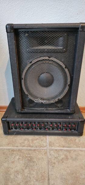 Lg-10 Stageworks Full Range 60w Cabinet Speaker And Lg-4 Digital Effects Amplifier