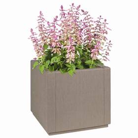 42006498 Vidaxl Garden Planter Polypropylene Indoor Decor Decorative
