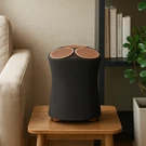 Sony SRS-RA5000 Premium Wireless Speaker With Ambient Room Filling Sound. Fixed Price $595.00.