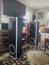 Definitive Technology D17 Demand Towers. One Owner. Beautiful! Nice! Lowered 5/9. Fixed Price $939.00.