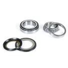 Yamaha Tt-r 90 2007 Prox Steering Bearings 24.110008. Fixed Price $69.08.
