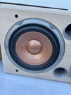 Speaker Part #335149-001 Removed From The Jbl S38BE ( Need Recone ). Fixed Price $40.00.
