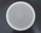 Paradigm AMS-100 V.3 2010901020 Single Speaker Replacement Painted Surround. Fixed Price $89.95.