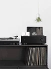 Sonos Connect + Bridge 12 Musiclites Artison ML-1 Led/speaker, Transmitters. Fixed Price $199.00.