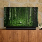 New Sonos Soundbar Black ARCG1US1BLK. Fixed Price $749.00.