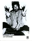 Cat Stevens - Five Original 1970S 8" X 10" Press Kit Photos & More. Fixed Price $49.95.