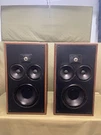 Polk Monitors Model 10 Original Drivers, Mids And Tweeters Very Good Condition. Fixed Price $399.99.