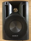 Wahldorf Speaker WD-305-HT. Fixed Price $15.00.