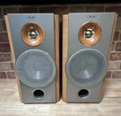 Pair Of Sony SS-NX1 Speakers. Fixed Price $119.95.