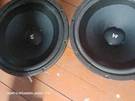 Electro Voice DL18MT Woofer Pair Modified For High Output At Pmr In Ohio. Fixed Price $499.95.