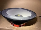 Focal Jm Lab Audiom 15VX Speaker Subwoofer - Nos Rare. Fixed Price $1149.00.