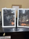 Pair (2) Episode ES-300-IW-6 High Performance Loudspeakers New In Open Box. Fixed Price $224.00.