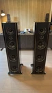 Psb Synchrony T800 Full Range Speakers In Gloss Black W Box Excellent. Fixed Price $9995.00.