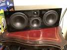 Audiophile Speaker Aperion Intimus 3-WAY-W/ Dual Center Channel Quality. Fixed Price $199.99.
