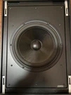 Triad Speakers Thunder Gold / 6 10". Fixed Price $135.00.