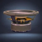 Focal 11W7670 W-cone Inch From SUB6 Be / Electra Sw 1000S Subwoofer. Fixed Price $220.00.