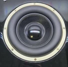 Tannoy Arena Ts 300 Subwoofer Only! Replacement. Fixed Price $89.99.