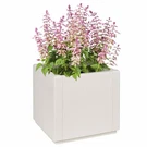Flower Box Pp Outdoor Container Decorating Planter Gardening Vidaxl. Fixed Price $61.99.