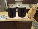 Polk FXI3 Pair Speakers Black F/XI3 Dipole/bipole Surround. Sweet Condition.. Fixed Price $150.00.