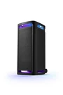 Sony Tower Authentic Model SRSULT900 Karaoke Speaker. Fixed Price $1236.99.