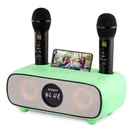 Karaoke Machine For Adults And Kids,portable Bluetooth With M.... Fixed Price $39.50.