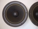 Technics SB-A34 Woofer EAS-25PL314A6 One (two Available). Fixed Price $36.00.