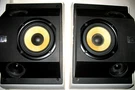 Bowers Wilkins B&w DS6 Surround Sound Speakers Thx Wall Mounted Or Book Shelf. Fixed Price $389.99.