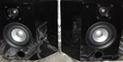 Earthquake Platine Noiree PN-1411 Rear Surround Speakers Pair. Fixed Price $399.00.