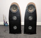 Emerald Physics CS2.3 MK2 Speakers Complete Set With Dsp & Crossovers Tested. Fixed Price $2995.00.