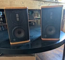 Infinity Infinitesimal 0.2 Speakers Beautiful Condition!. Fixed Price $475.00.