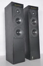 Meridian DSP5000 Digital Loudspeaker System Floorstanding Powered Nice. Fixed Price $599.99.