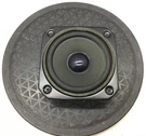 Kenwood JL-770 T06-0211-05 Replacement Driver. Fixed Price $41.99.