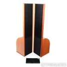 Sanders Sound Systems 10E Hybrid Electrostatic Floorstanding Speakers; Pair. Fixed Price $8899.00.