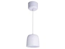Lencore I.net G875 Decorative Hanging/pendant Inline Sound Masking Speaker White. Fixed Price $79.00.