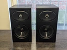 Proficient Near Field NFS5 Speakers. Fixed Price $99.00.