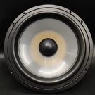 Paradigm Monitor Speaker 8" Woofer - B126WFMON0009. Fixed Price $47.49.
