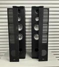 Premier Acoustic Floor Standing Speakers Model: PA-6F (pristine Condition). Fixed Price $900.00.
