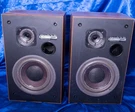 Bose Interaudio Sa 300 Speakers Foam Replaced, 100 Watts, Tested Sounds Good.. Fixed Price $150.00.
